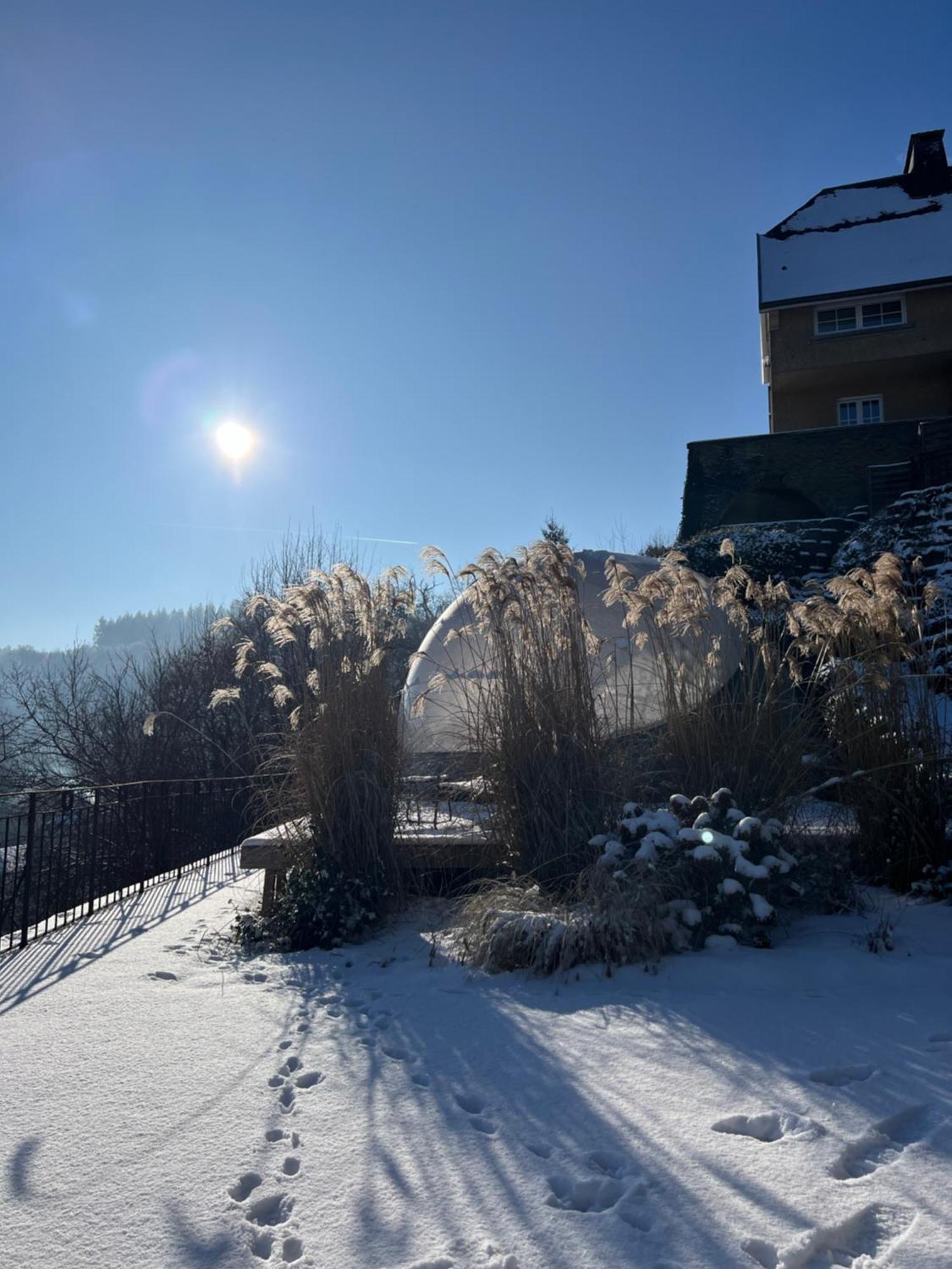 Bulle Time Flies - Logement Insolite Hotell Bouillon Exteriör bild